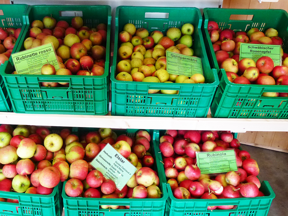 Verkaufswagen Äpfel